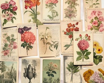 May include: A collection of vintage botanical illustrations featuring various flowers, including pink, red, and white blooms. The illustrations are printed on cream-colored paper with handwritten text in the background.