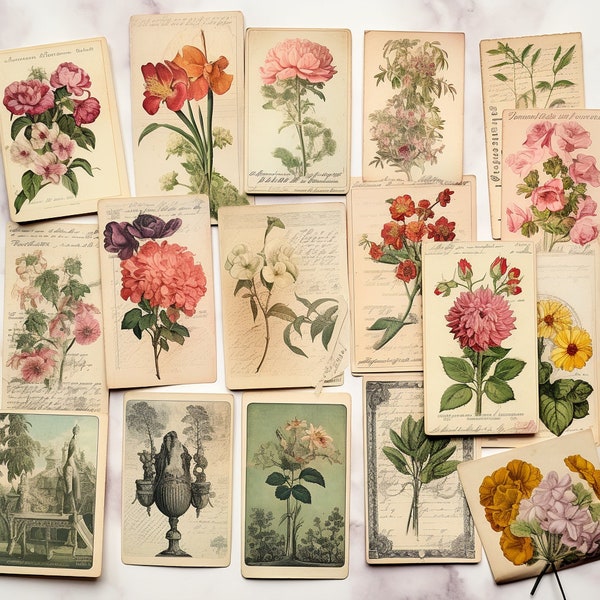 vintage Botanical Junk Journal Ephemera Pack | 50 pages, feuille de collage imprimable, kit de scrapbook floral numérique, fleurs antiques, cartes de plantes