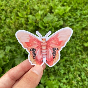 Rosy Maple Moth Sticker voor vrouwen, Roze Natuurstickers, Leuke mottensticker voor laptop, Geschenken voor natuurliefhebbers
