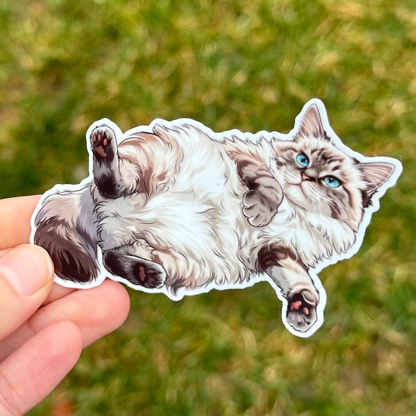 Ragdoll cat sticker for women, Cute Kitty gifts for Ragdoll lovers, Kitten stickers for water bottle, crazy cat lady gift, Cat breed Decal