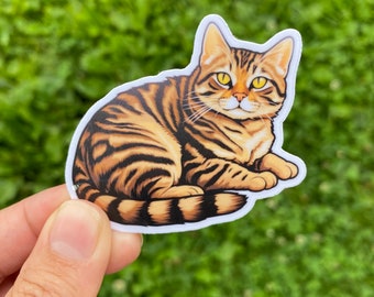 Tabby cat sticker for women, cute cat gifts for cat lovers, tabby cat stickers for water bottle, crazy cat lady gifts, cat laptop stickers