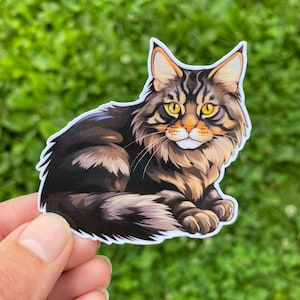 Mainecoon Katzenaufkleber für Frauen, süße Katzengeschenke für Katzenliebhaber, Mainecoon Aufkleber für Wasserflasche, verrückte Katzenlady Geschenke, Katzenrassenaufkleber