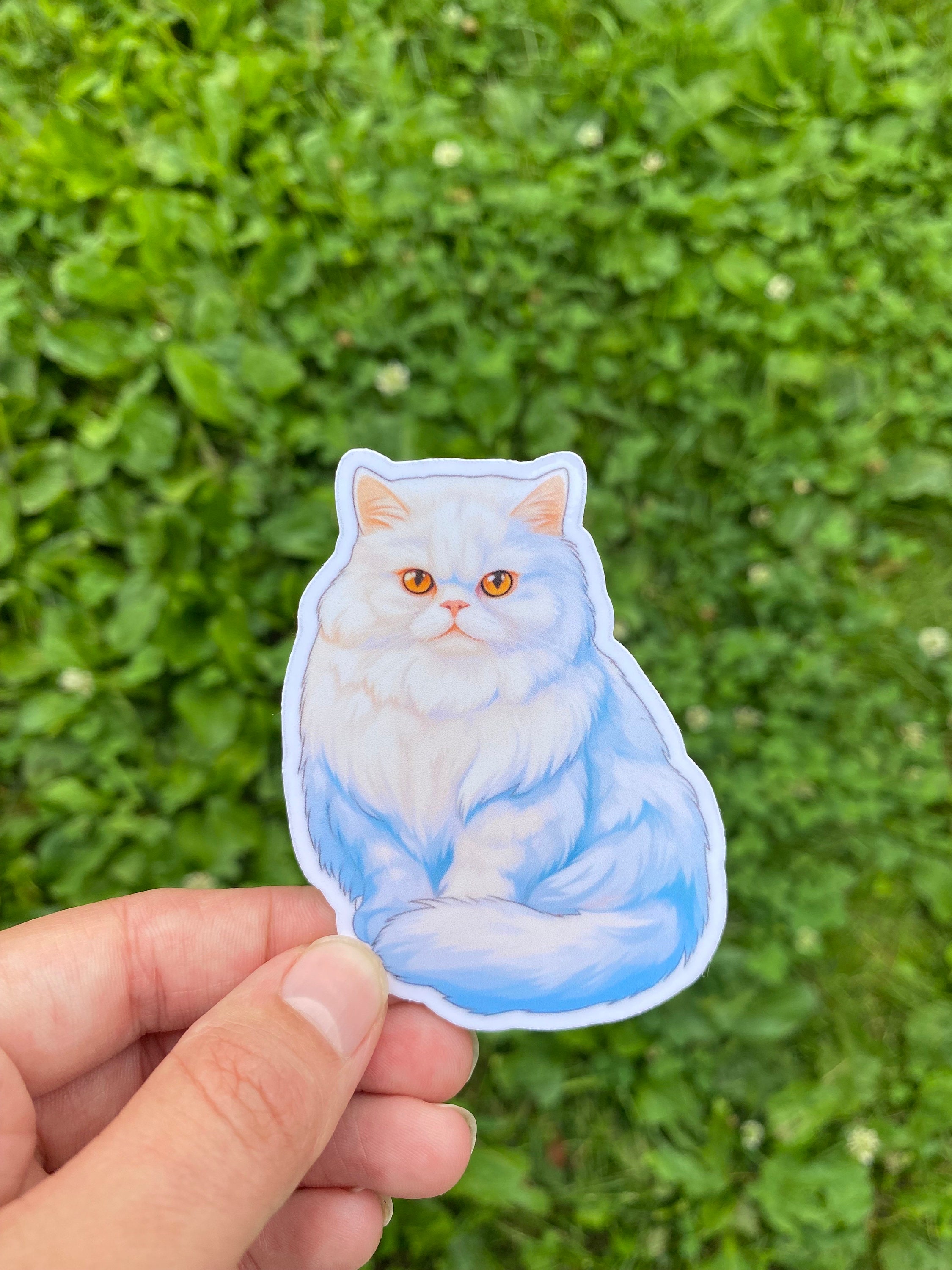 Persian cat sticker for women, Cute cat gifts for cat lovers, Persian sticker for water bottle, Crazy cat lady gifts, Persian Laptop sticker