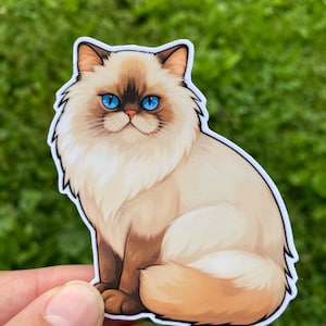 Himalaya Katzen Aufkleber für Frauen, süße Katzengeschenke für Katzenliebhaber, Himalaya Aufkleber für die Wasserflasche, verrückte Katzendamen Geschenke, Katzenrasse Aufkleber