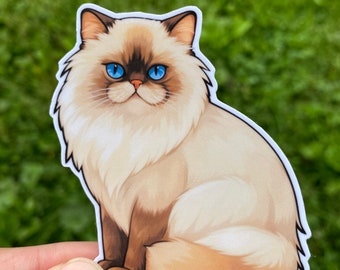 Himalayan cat sticker for women, Cute cat gifts for cat lovers, Himalayan stickers for water bottle, crazy cat lady gifts, Cat breed sticker