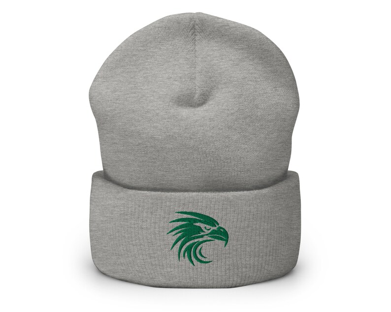Eagles Winter Hat, Philadelphia Eagles Beanie, Philadelphia Eagles Gift