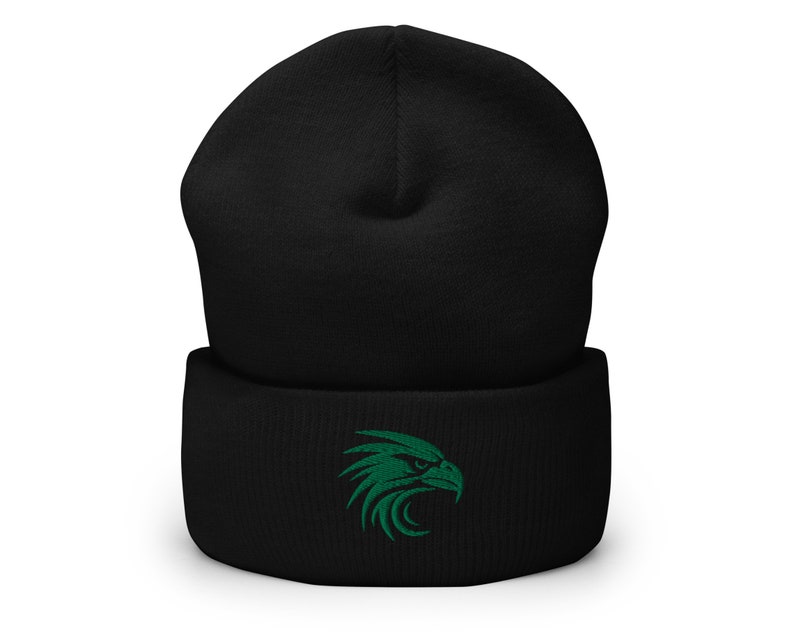 Eagles Winter Hat, Philadelphia Eagles Beanie, Philadelphia Eagles Gift