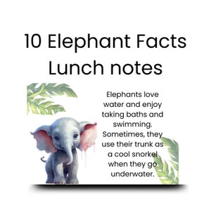 Notes de boîte à lunch imprimables : éléphants, faits amusants sur les animaux de safari, notes de boîte à lunch, 10 cartes d'informations sur l'éléphant, téléchargement immédiat, note d'amour LBN-005