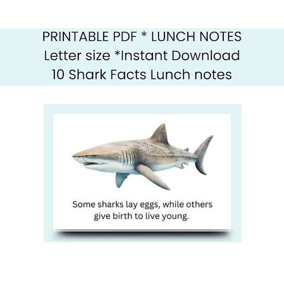 Lunchbox Note Cards - Sharks Lunchbox Note Cards - Sharks