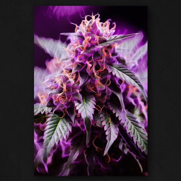 Affiche de cannabis flamme violette - teneur élevée en THC - bouton de feu - art du cannabis - photographie - décoration de chambre - trippy - affiches antireflet 210 g