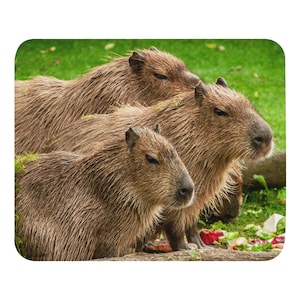 May include: Three brown capybaras with wet fur are huddled together, with a green grassy background. The capybaras are facing right, with their eyes open. The image is a close-up shot.