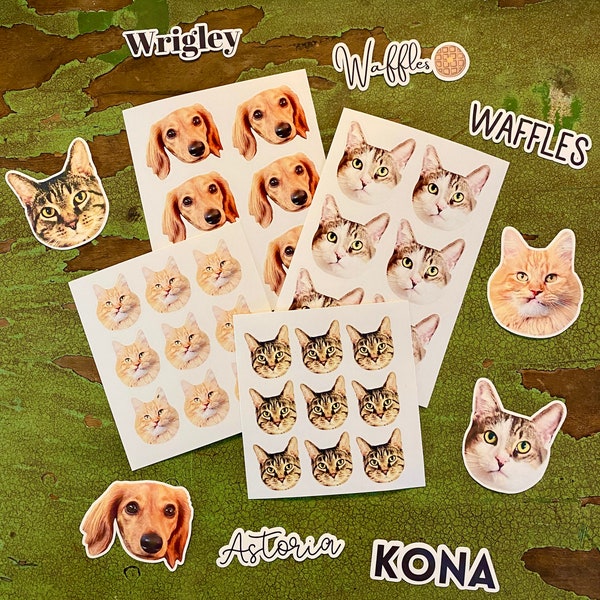 Custom Pet Portrait Photo Vinyl Stickers