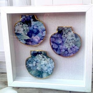 Scallop Shell Shadow Box – Blue Hydrangea Coastal Wall Art, Cape Cod 9x9 Framed Decor