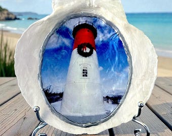 Nauset Ligthouse Scallop Shell Home Decor