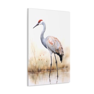 Crane Canvas