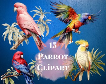 Watercolor Parrot Clipart - tropical birds with flowers and leaves in PNG format instant download for commercial use