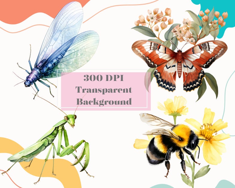 Beneficial Bugs Clipart, Spring Clipart, Insects Clipart Scrapbooking ...