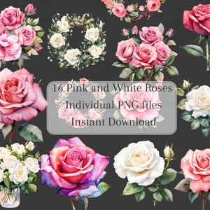 Watercolor Pink and White Roses Clipart rose bunches and wreaths in PNG format instant download for commercial use transparent background