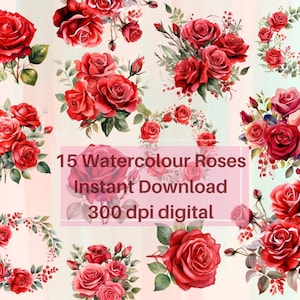 Watercolor Red Roses Clipart - roses, rose bunches and wreaths in PNG format instant download for commercial use transparent background