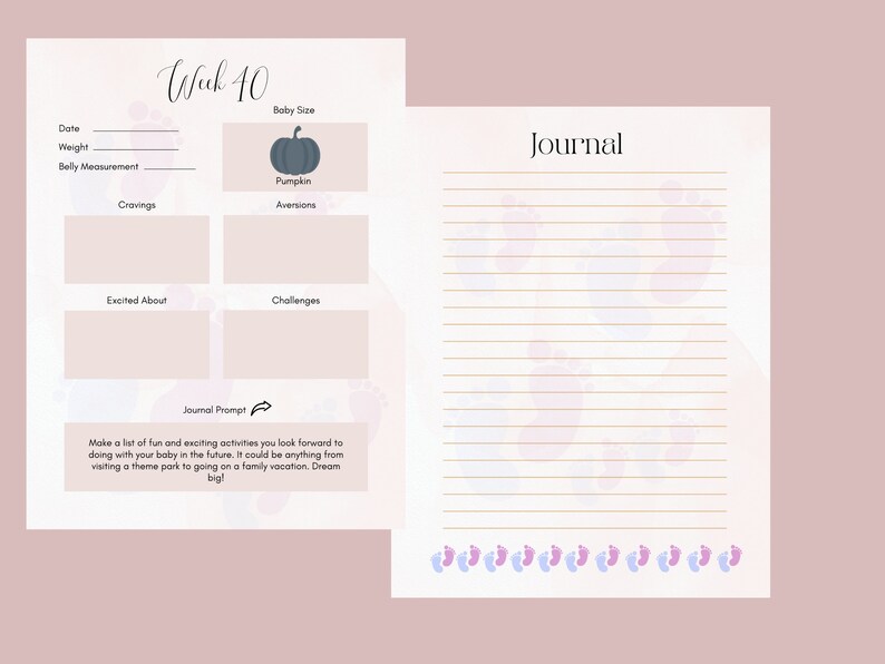 Printable Pregnancy Journal Bump to Baby PDF File for Etsy