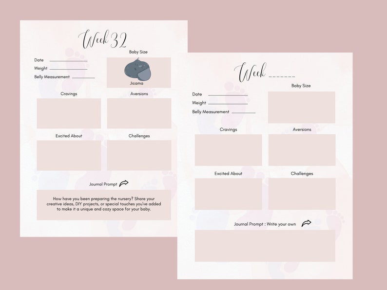 Printable Pregnancy Journal Bump to Baby PDF File for Etsy