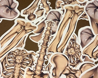 Knochen-Aufkleber Beutel der Knochen Anatomie Matt oder glänzend sterben geschnitten Vinyl gruselige Biologie Aufkleber Sticker Pack