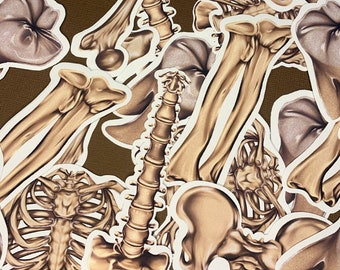 Bone Stickers Bag of Bones Anatomy Matte Or Glossy Die Cut Vinyl Creepy Biology Stickers Sticker Pack