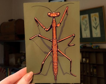 May include: A close-up of a brown and orange praying mantis with long legs and a thin body. The mantis is on a light brown background.