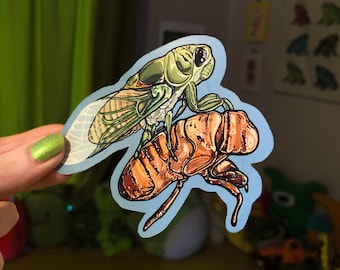 Cicada and Cicada Shell Bug Glossy Die Cut Vinyl Handmade Insect Sticker
