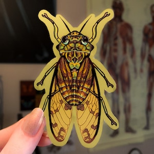 Puede incluir: Una pegatina de insecto de cigarra dorada con alas detalladas y una cabeza verde. La pegatina tiene un dise&ntilde;o realista y es perfecta para agregar un toque de naturaleza a cualquier superficie.