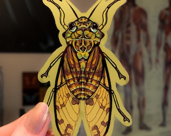 Bug Cicada Glossy Die Cut Vinyl Handmade Green Insect Sticker