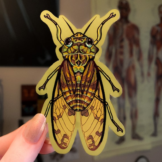 Bug Cicada Glossy Die Cut Vinyl Handmade Green Insect Sticker