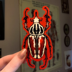 Bug Goliath Beetle Glossy Die Cut Vinyl Handmade Red Insect Sticker