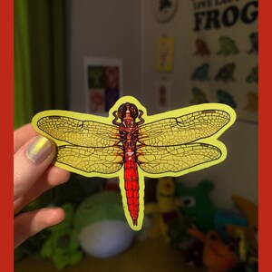 K&ouml;nnte beinhalten: Ein gelber und roter Libellenaufkleber mit detaillierten Fl&uuml;geln. Die Libelle hat einen roten K&ouml;rper und gelbe Fl&uuml;gel mit schwarzen Adern.