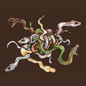Puede incluir: Un grupo enredado de serpientes de varios colores, incluyendo verde, blanco, marrón y amarillo, con algunas serpientes que tienen patrones. Las serpientes están entrelazadas en un nudo complejo, creando una imagen visualmente interesante y dinámica.