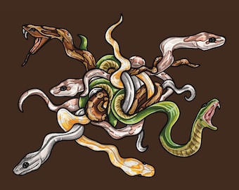 Impression d'art roi serpent : art mural serpent reptile