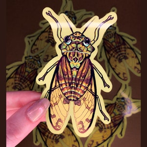 Puede incluir: Un conjunto de pegatinas de insectos cigarra coloridos con detalles intrincados. Las pegatinas presentan una cigarra amarilla, marr&oacute;n y verde con ojos negros y alas.