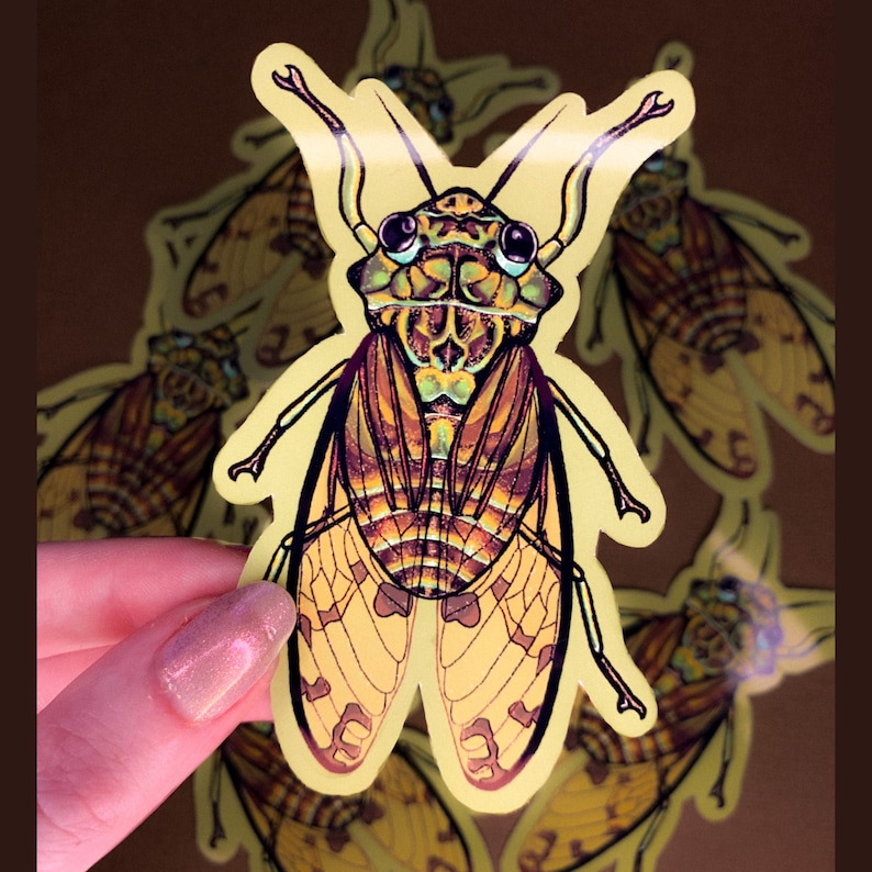 Puede incluir: Un conjunto de pegatinas de insectos cigarra coloridos con detalles intrincados. Las pegatinas presentan una cigarra amarilla, marr&oacute;n y verde con ojos negros y alas.