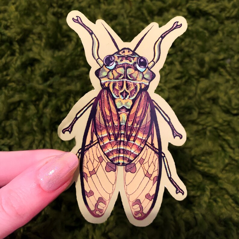 Puede incluir: Una pegatina amarilla con una ilustraci&oacute;n detallada de una cigarra. La cigarra tiene grandes ojos verdes iridiscentes, un cuerpo marr&oacute;n y amarillo y alas transl&uacute;cidas con intrincados patrones.