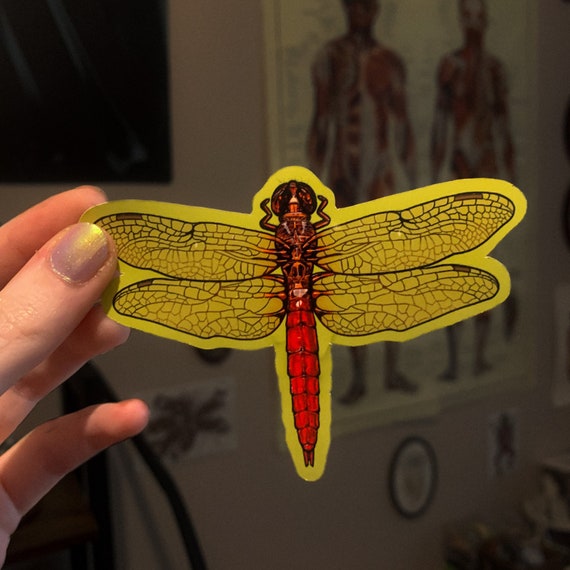 Bug Red Dragonfly Glossy Die Cut Vinyl Handmade Insect Sticker
