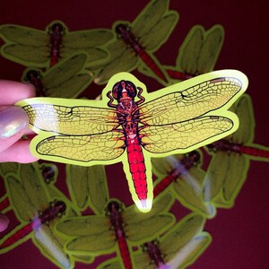 K&ouml;nnte beinhalten: Nahaufnahme eines roten und gelben Libellen-Aufklebers. Die Libelle hat detaillierte Fl&uuml;gel und einen roten K&ouml;rper. Der Aufkleber befindet sich auf einem roten Hintergrund.