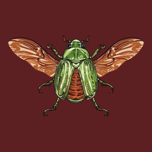 Glorious Scarab Bug Chrysina Gloriosa Glossy Mini 4’ x 6’ Art Print Handmade Insect Wall Art