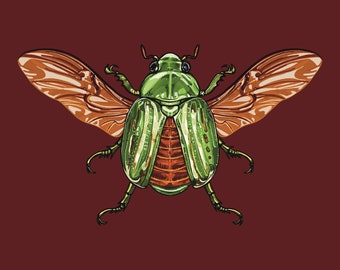 Glorious Scarab Bug Chrysina Gloriosa Glossy Mini 4’ x 6’ Art Print Handmade Insect Wall Art