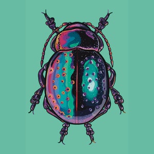 Insecto de aspecto holográfico Chrysolina Perforata Escarabajo Mini Brillante 4' x 6' Impresión de arte Arte de pared de insectos hecho a mano