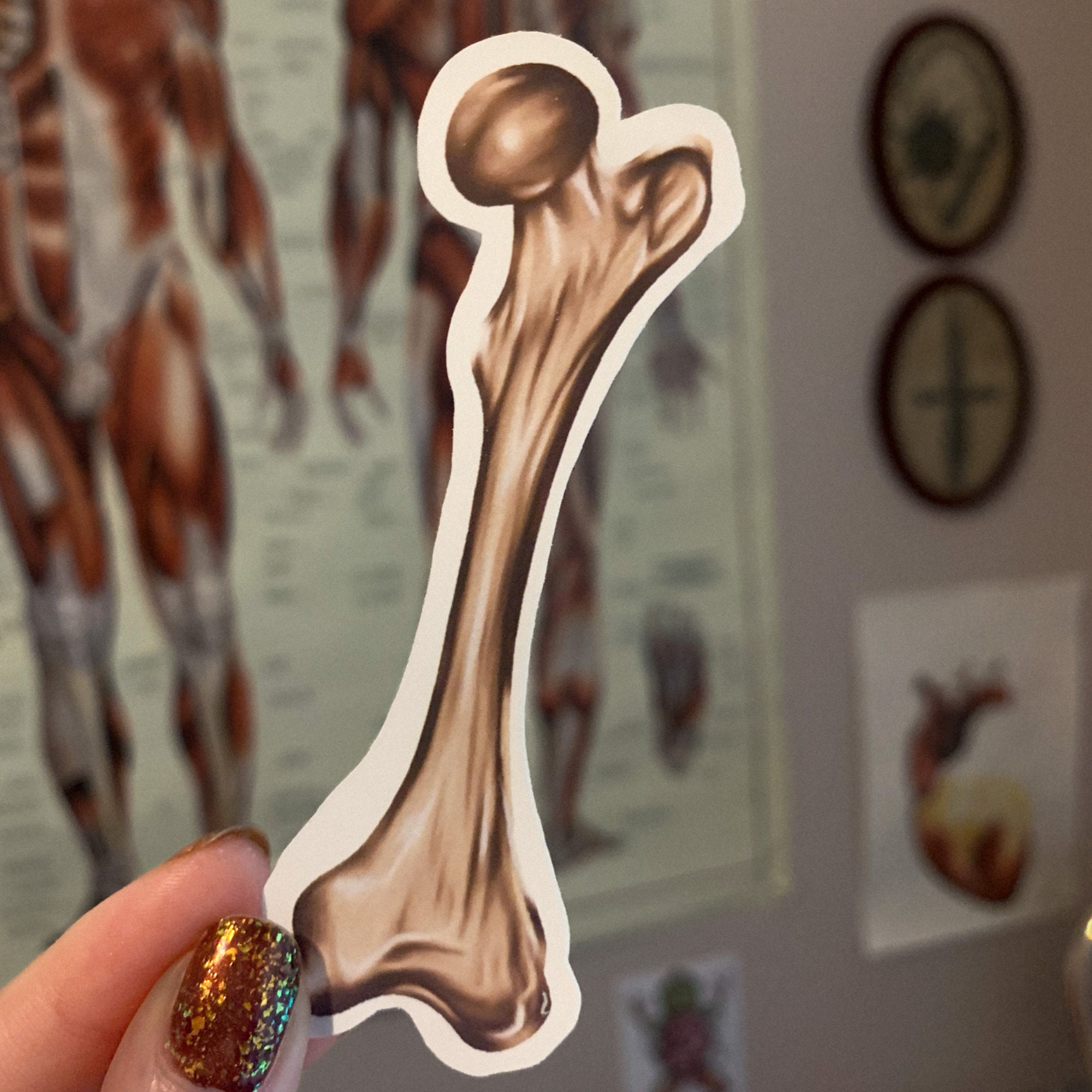 Bone Stickers Bag of Bones Anatomy Matte or Glossy Die Cut Vinyl Creepy ...