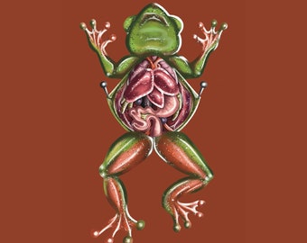 Frog Frank The Frog...Autopsy Glossy Mini Art Print 4’ x 6’ Creepy Wall Art
