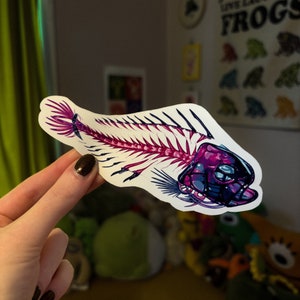 Fish Bones Sticker Diaphonized Wet Specimen Oddities Handmade Sea Animal Sticker