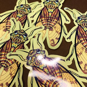 Puede incluir: Cinco pegatinas de insectos cigarra coloridos con ilustraciones detalladas de las alas y los cuerpos de los insectos. Las pegatinas est&aacute;n impresas sobre un fondo amarillo claro.