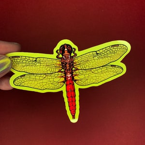 K&ouml;nnte beinhalten: Ein leuchtend gelber Libellen-Aufkleber mit roten und braunen Details. Die Libelle hat komplizierte Fl&uuml;gelmuster und einen langen, schlanken K&ouml;rper.