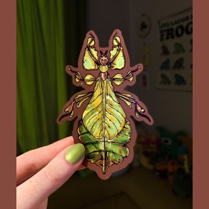 Peut inclure: Un autocollant représentant un insecte vert et brun avec des détails complexes. L'insecte a un corps long et fin avec de grandes ailes feuillues. L'autocollant est parfait pour ajouter une touche de nature à n'importe quelle surface.